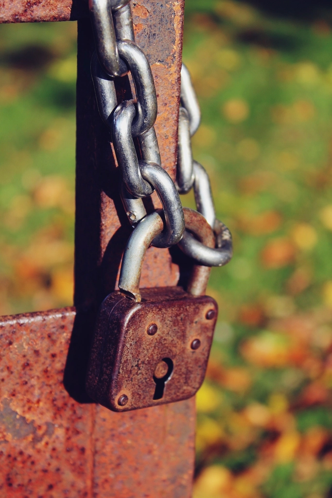 WordPress Security in 2026: How to Protect Your Website from 13,000 Daily Hacks